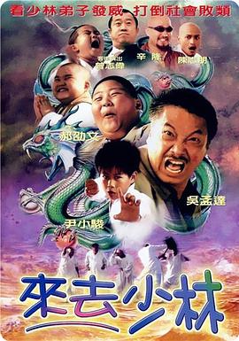 善良年轻岳2电影