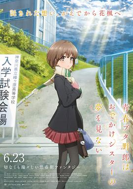 三邦车视频网