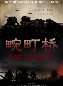 国产视频精品va久久久久久