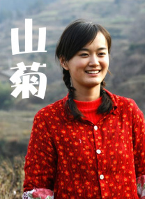 被拍摄的大实金
