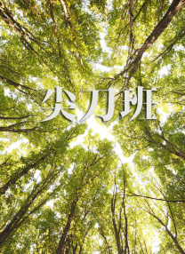 亚洲国产激情