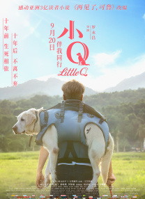 解开美女胸罩